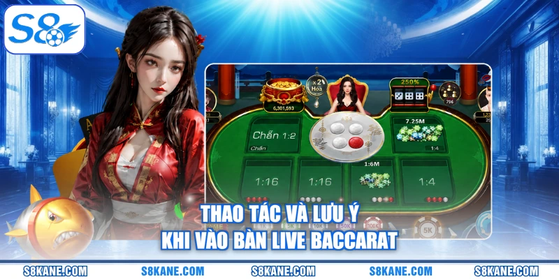 Thao tác và lưu ý khi vào bàn live baccarat